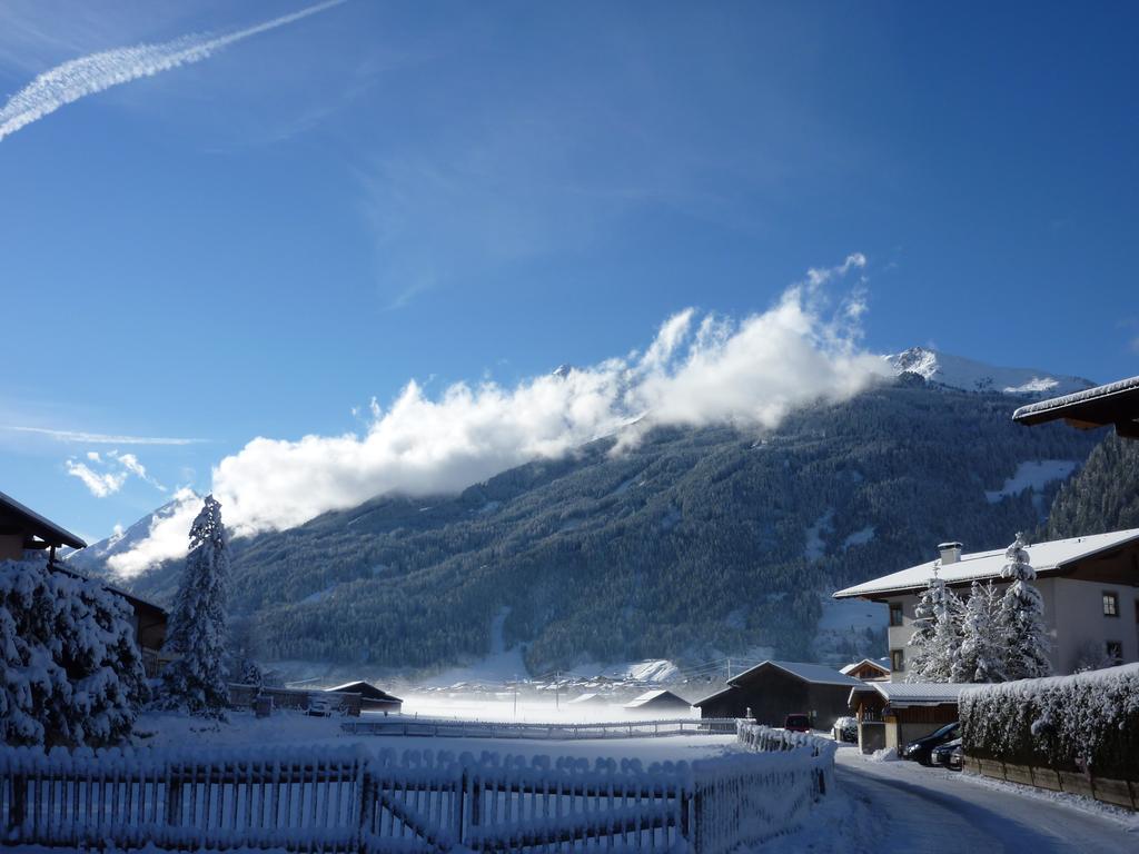 Haus Bellis Apartment Neustift im Stubaital Exterior photo